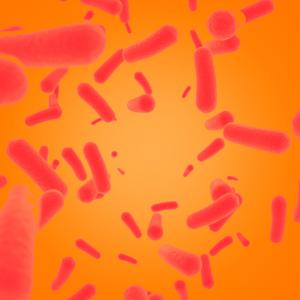 Beneficial live bacteria play a key role in supporting and maintaining a strong immune and digestive system.